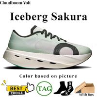 119 Iceberg Sakura