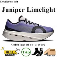 118 Juniper Limelight