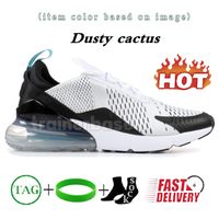 34 Dusty Cactus